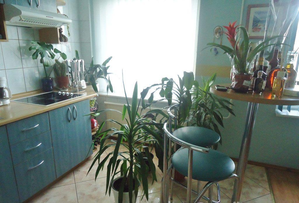 Puikus Apartamentai 알리투스 외부 사진